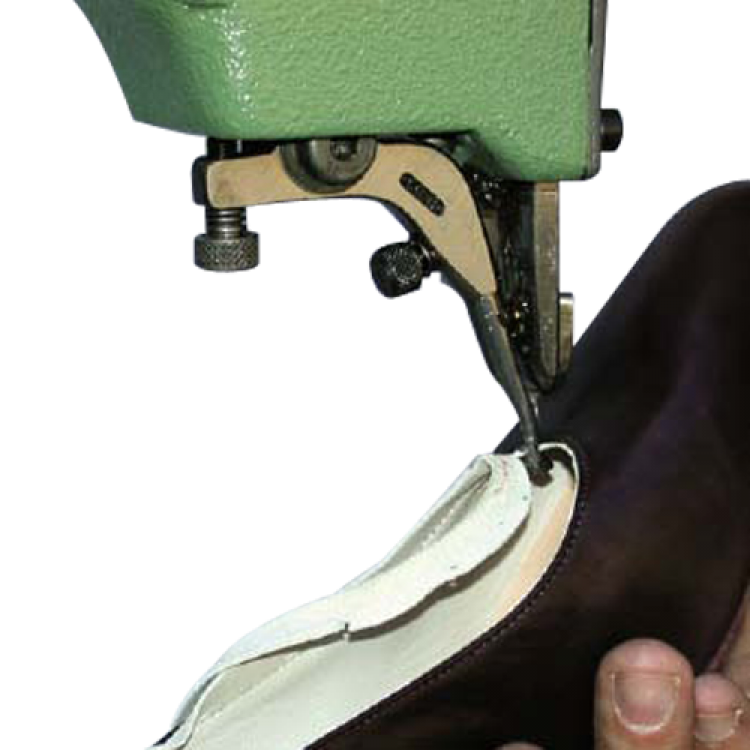 COLLI COLLI